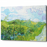 Картина «Зеленые поля пшеницы» (холст, галерейная натяжка)