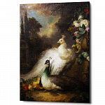 Картина «Королевский павлин», версия 1 (холст, галерейная натяжка)