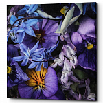 Картина «Dahlia Purple» (холст, галерейная натяжка)