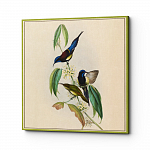 Картина на холсте «Птицы Солнца» 60×60, холст, галерейная натяжка (версия 5)