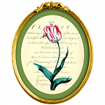 Картина «Эпоха тюльпанов», версия 11 в раме «Бетти» рама раме рамы рамк фото фоторам картин репродук