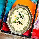 Картина «Жемчужины природы», версия 25, в раме «Эдита» рама раме рамы рамк фото фоторам картин репродук 