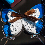 Ароматическое украшение Вашего дома «Дуэт бабочек»