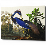 Картина «Луизианская цапля» (холст, галерейная натяжка)