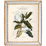 Картина «Порхающий цветок», версия 1, в раме «Аксель»