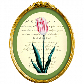 Картина «Эпоха тюльпанов», версия 8 в раме «Бетти»