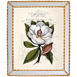 Картина «Порхающий цветок», версия 5, в раме «Аксель»