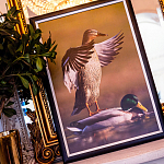Арт-постер «Птичий переполох»