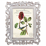 Картина «Ботанический сад», версия 5 в раме «Агата» рама раме рамы рамк фото фоторам картин репродук 