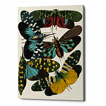 Картина «Бабочки мира», версия 9 (холст, галерейная натяжка)