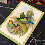 Картина на холсте «Птицы Солнца» 30×45, холст, галерейная натяжка (версия 5)