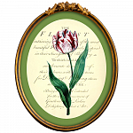 Картина «Век тюльпанов», версия 12 в раме «Тиффани»